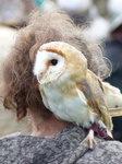 FZ013006 Woman with Barn Owl (Tyto alba) on her shoulder.jpg